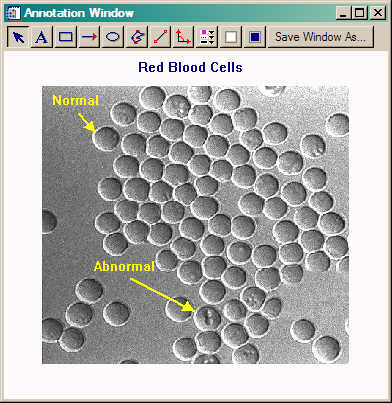 The AnnotateWindow application.