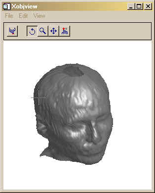 The direct graphics isosurface created from ROIs.