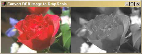 JPEG file on left, converted to gray-scale image on right.