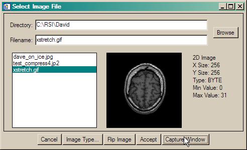 The result of clinking the Capture Window button.
